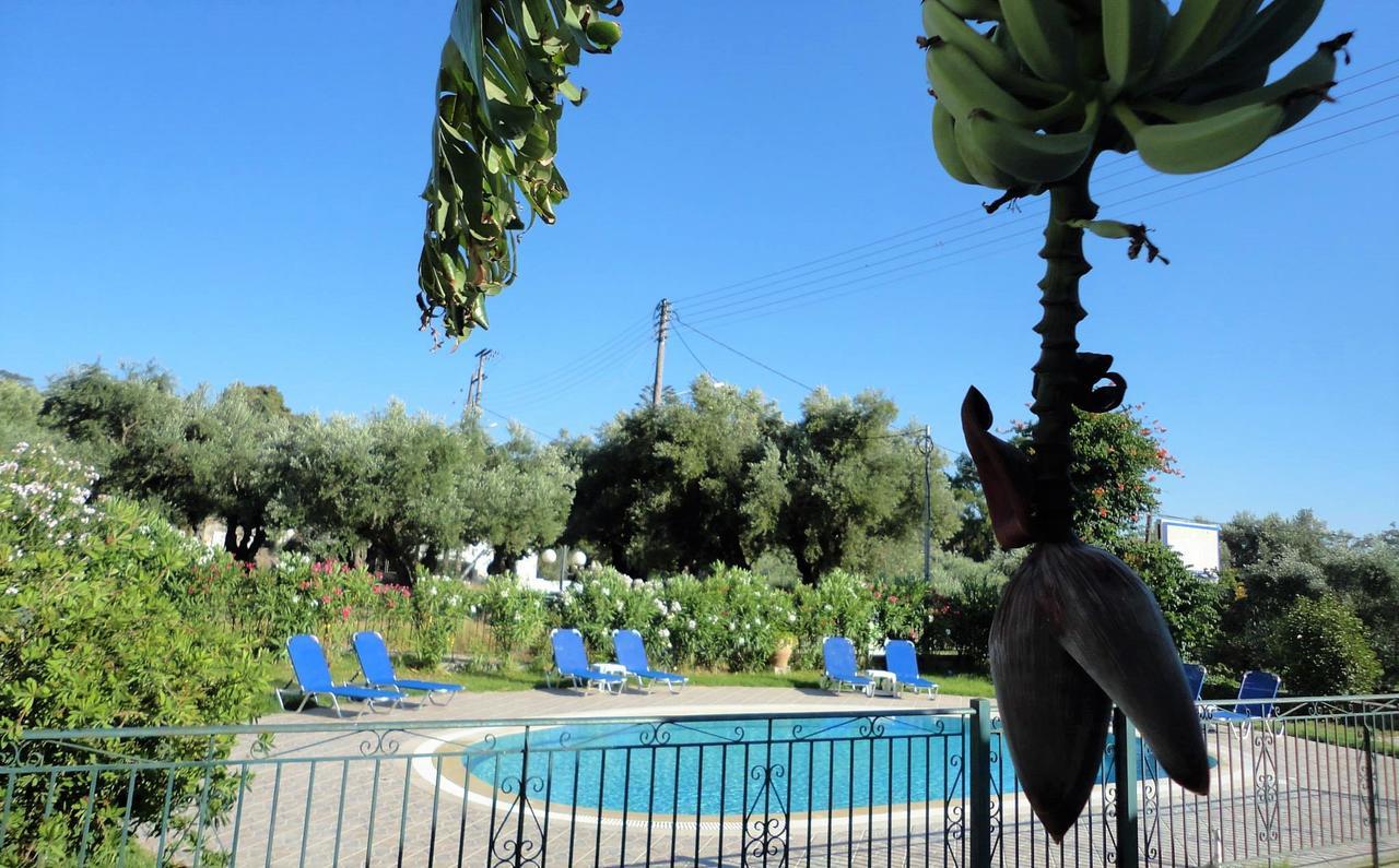 Tonia Apartments Zakynthos Town Exterior photo